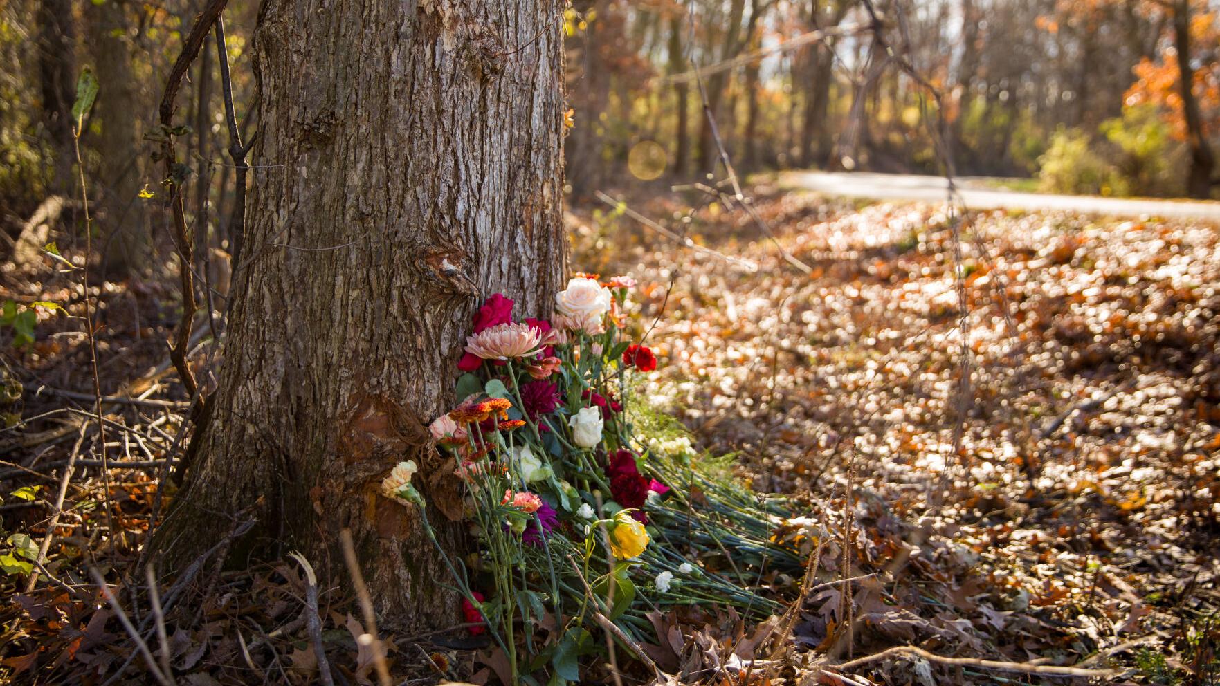 Five victims of Verona car crash were cyclists, advocates for diabetes research